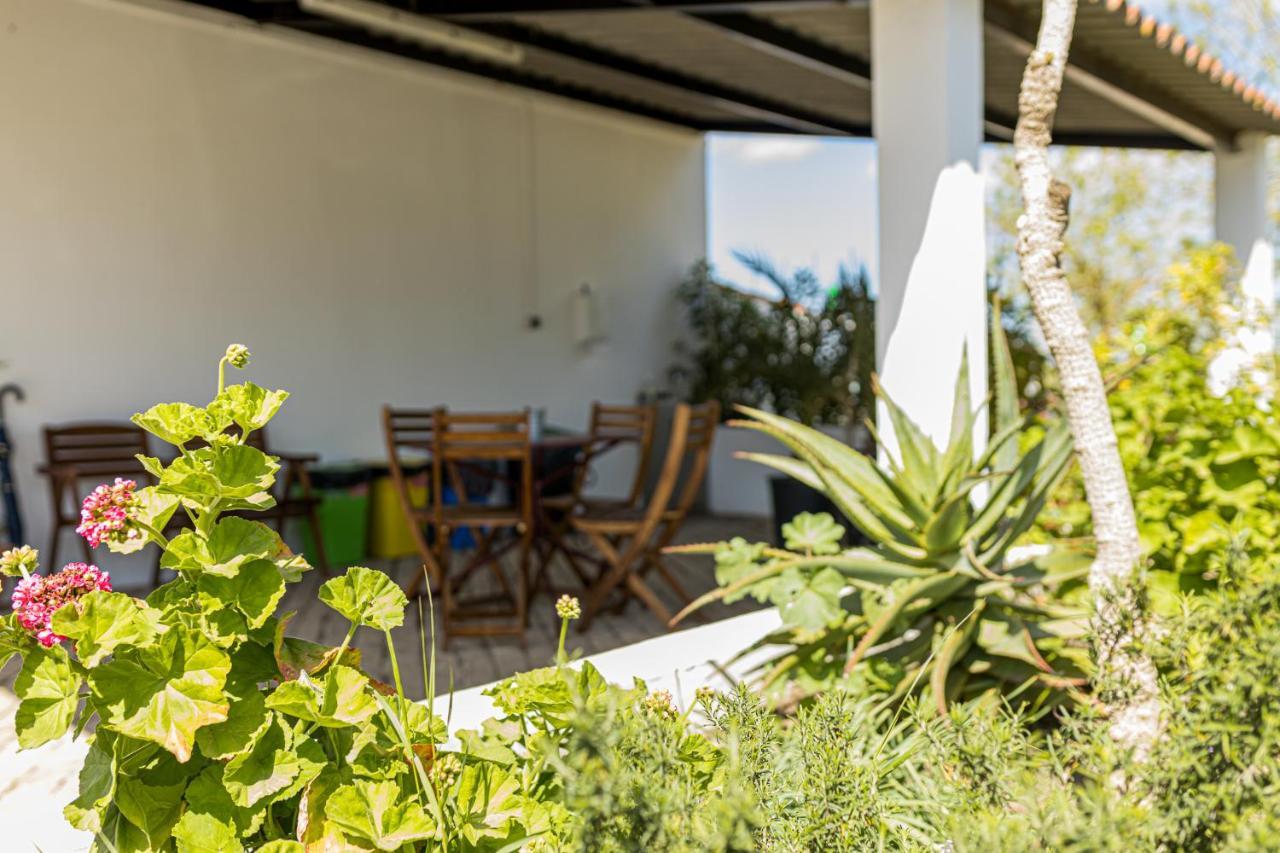 Monte Da Morena Agro-Turismo Serpa Εξωτερικό φωτογραφία