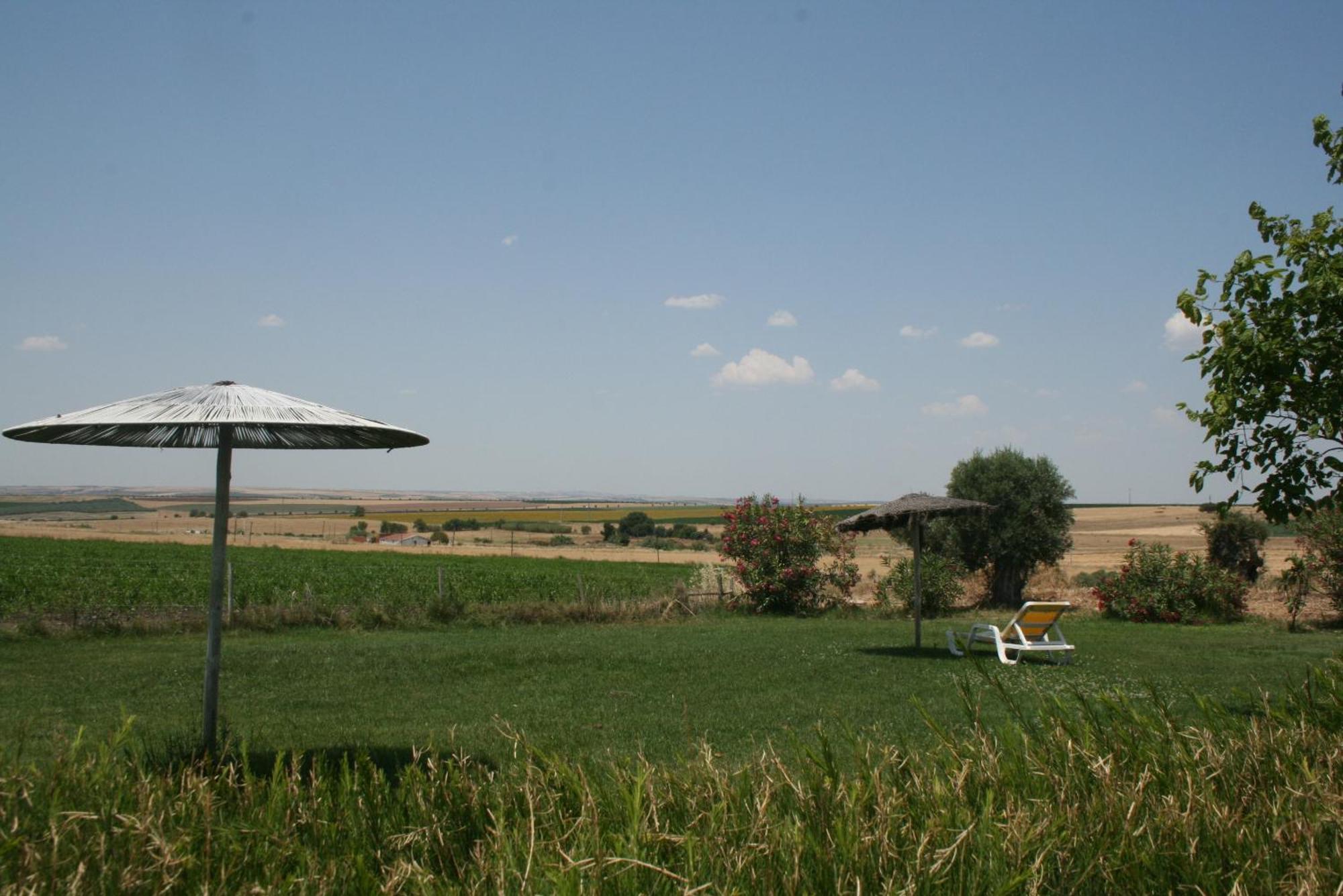Monte Da Morena Agro-Turismo Serpa Εξωτερικό φωτογραφία