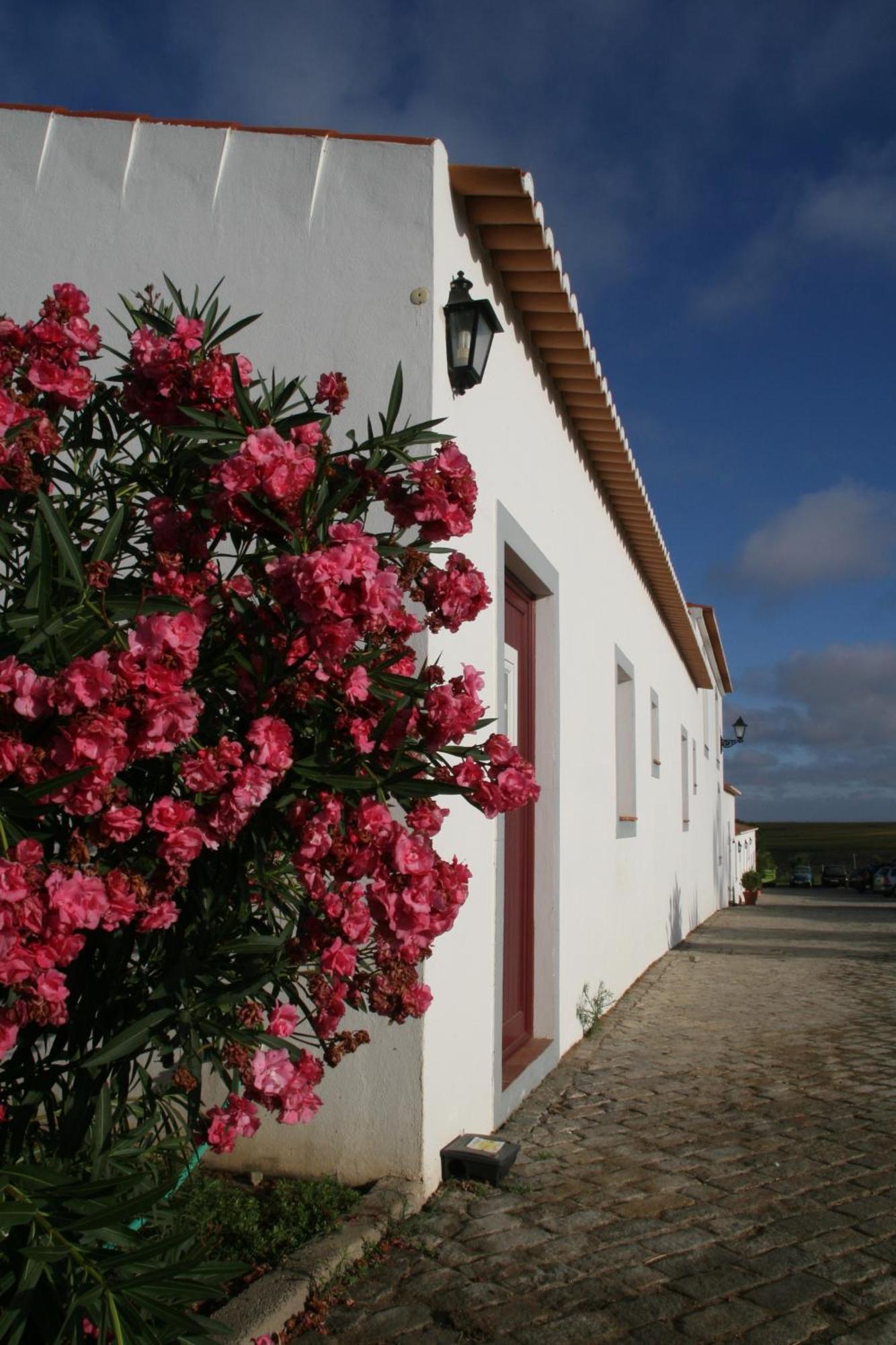 Monte Da Morena Agro-Turismo Serpa Εξωτερικό φωτογραφία