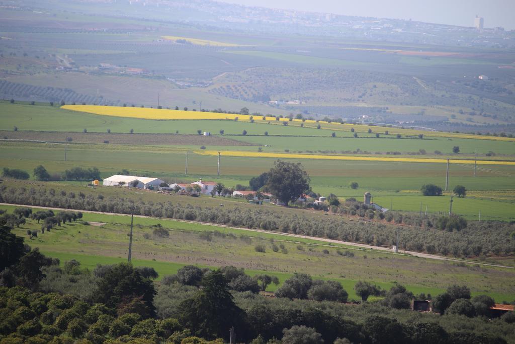 Monte Da Morena Agro-Turismo Serpa Εξωτερικό φωτογραφία