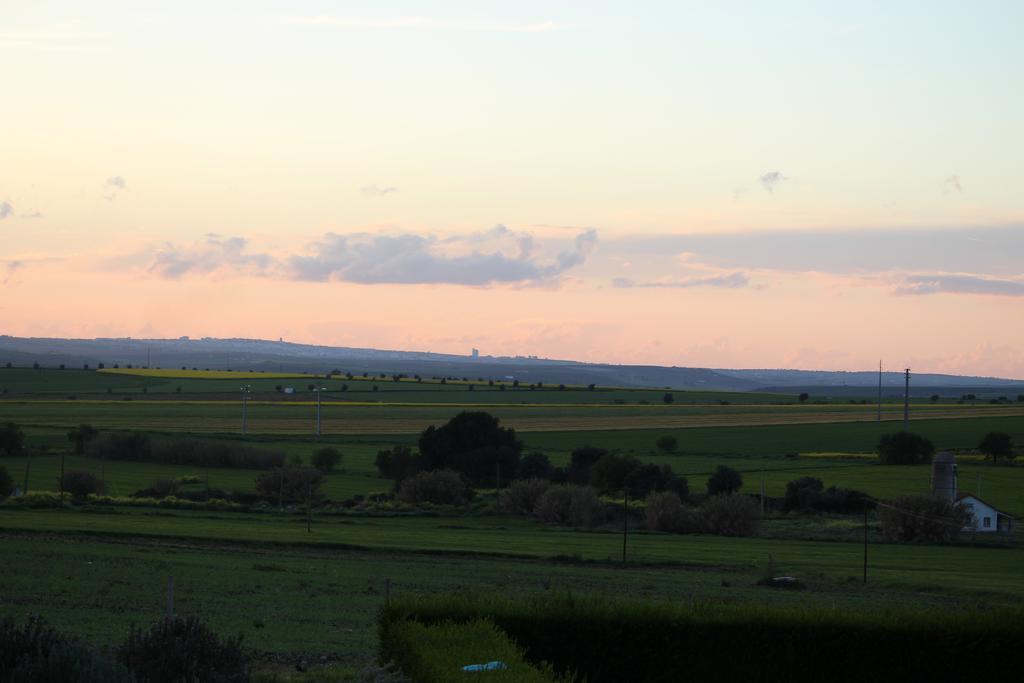 Monte Da Morena Agro-Turismo Serpa Εξωτερικό φωτογραφία